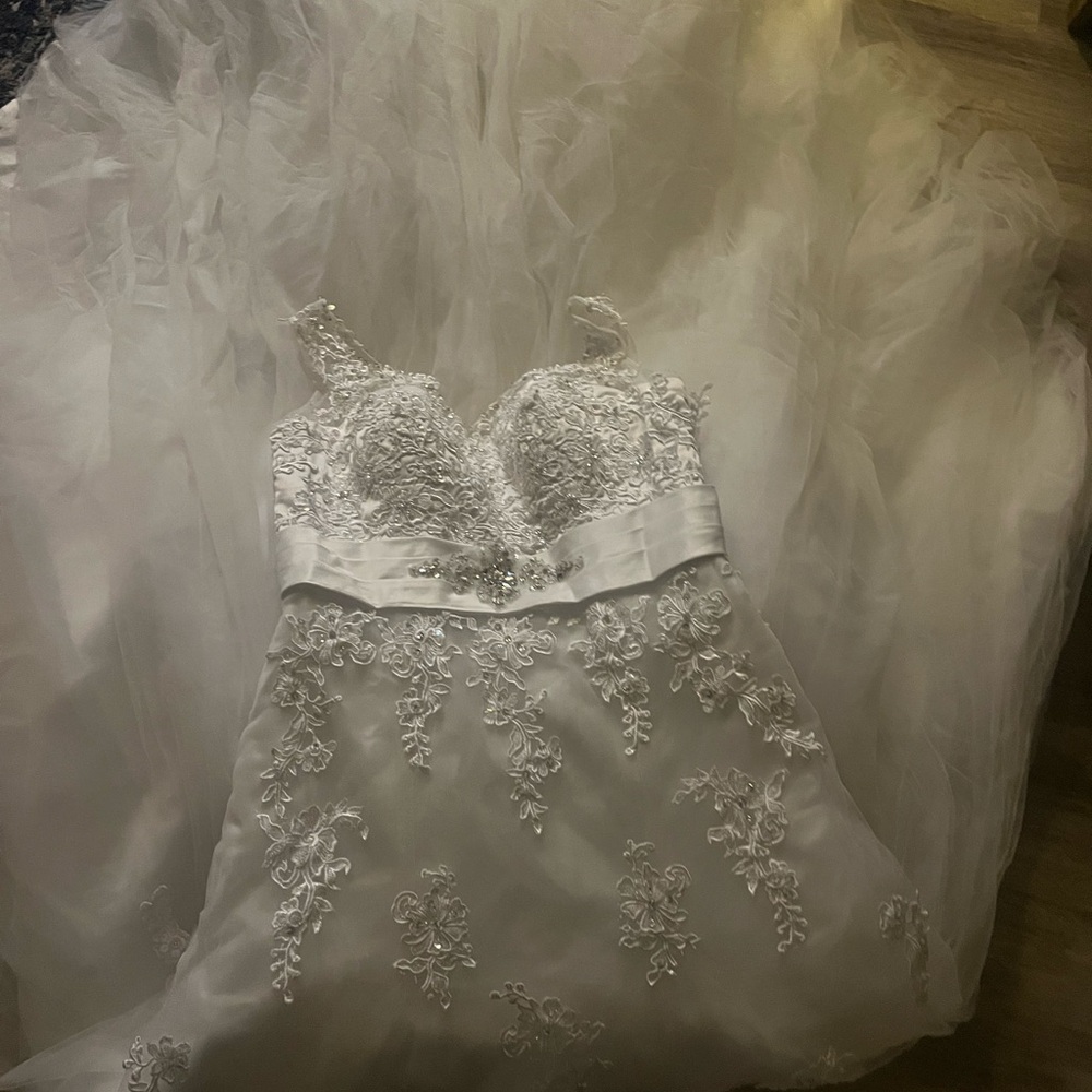 Elegant White Lace Wedding Dress with vail.